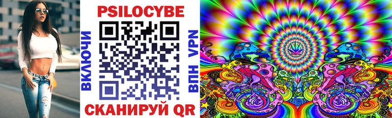 Псилоцибиновые грибы Psilocybe  Старица 